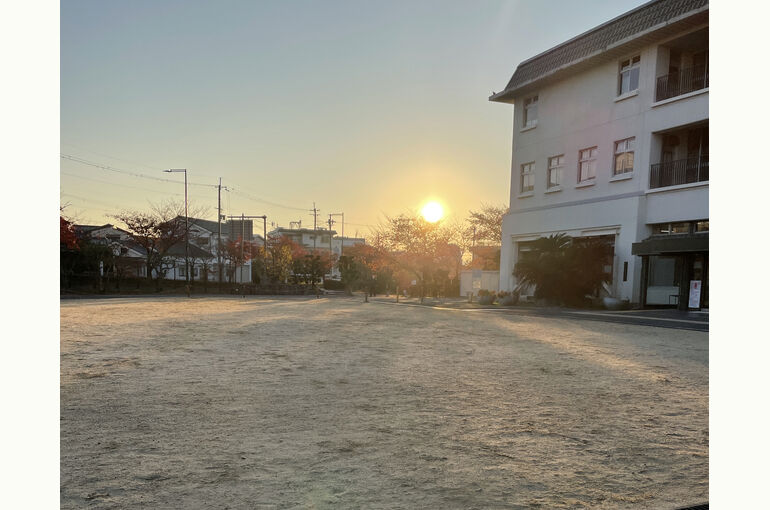 IMG_8345